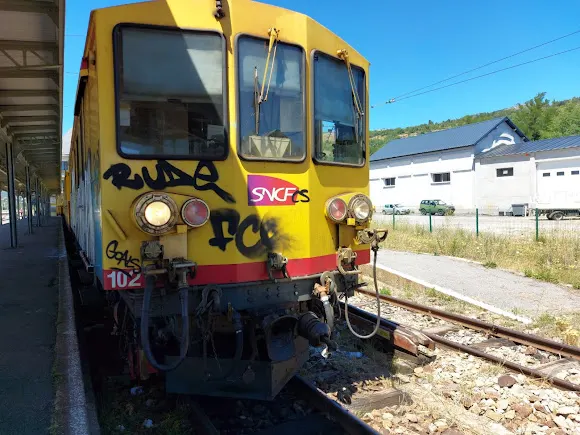 El Tren Groc