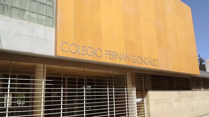 Colegio Público Fernán González - Colegio público en Salas de los Infantes - foto 2