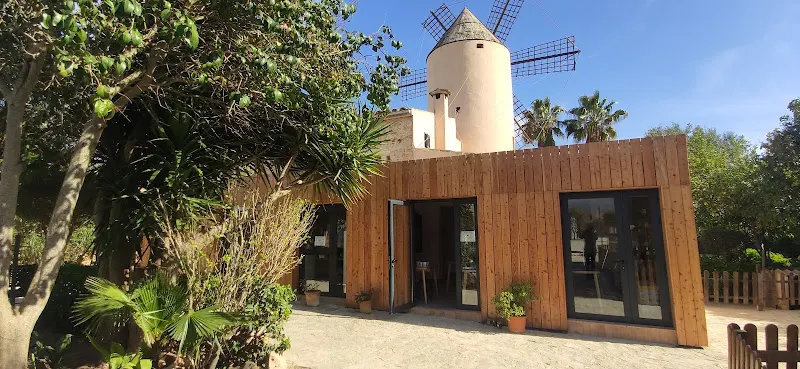 The Montessori School of Mallorca - Escuela de enseñanza general en Santa Maria del Cami - foto 2