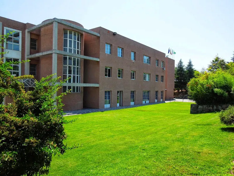 Colegio Los Sauces Torrelodones - Torrelodones