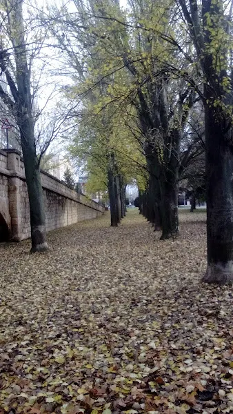 CEIP SOFIA TARTILAN (Edificio de Educación Infantil)