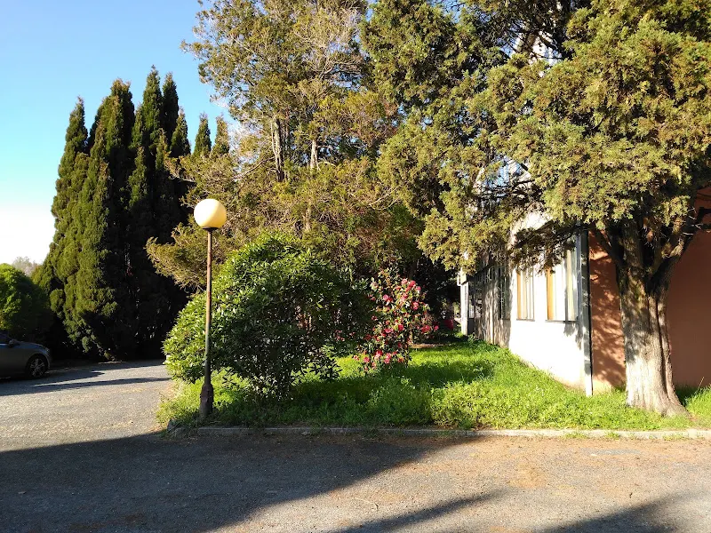 Colegio ALCA SL