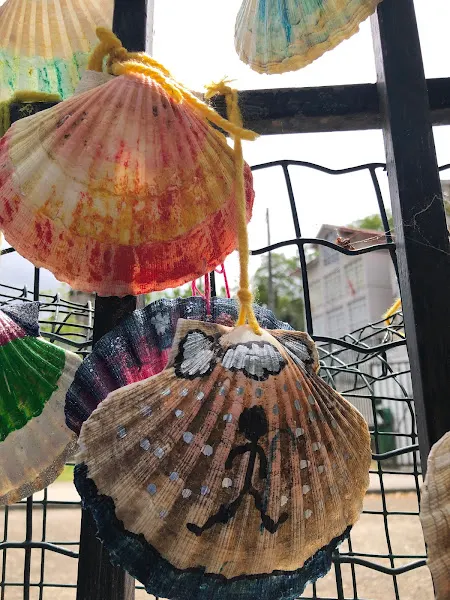 CEIP de Cedeira - Colegio público en Redondela - foto 2