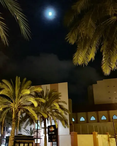 Colegio San Antonio de Padua - Alicante