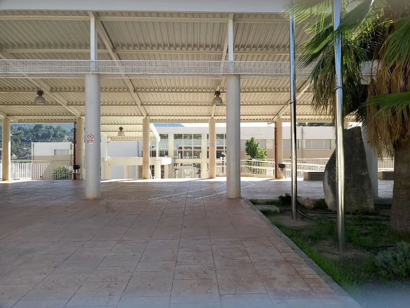 CEIP Miguel Hernández - Alcoy