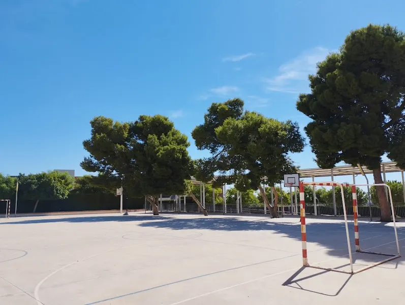 CEIP Nostra Senyora de l’Esperança - Colegio público en Crevillent - foto 2