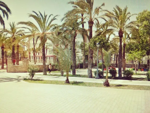 CEIP Les Arrels ( N° 37 ) - Alicante