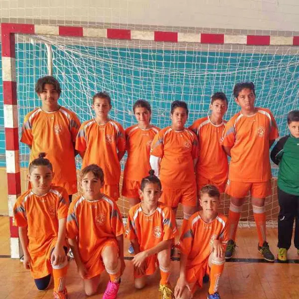 CEIP Miguel Servet - Elda