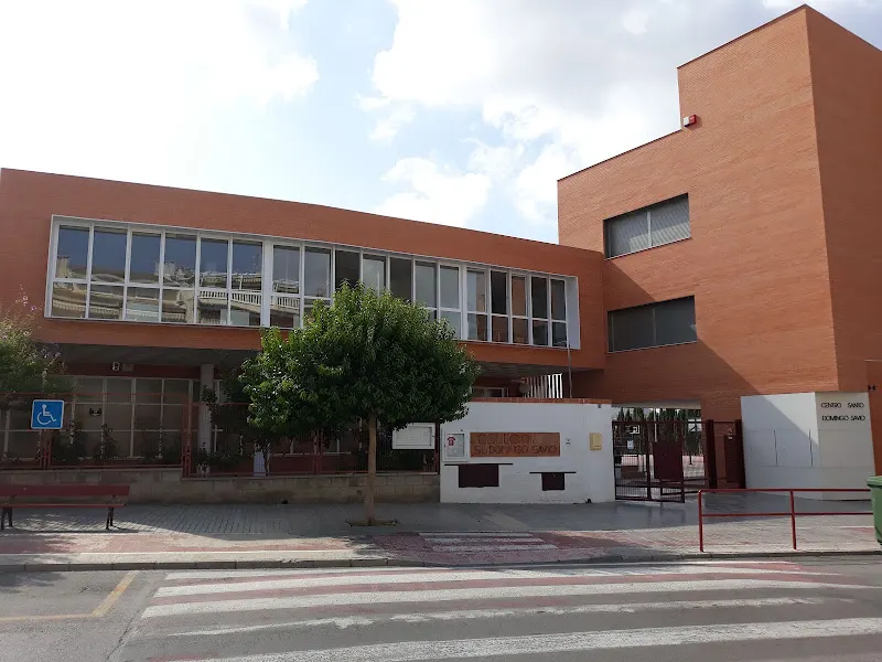 Colegio Santo Domingo Savio - Colegio privado en Petrer - foto 2