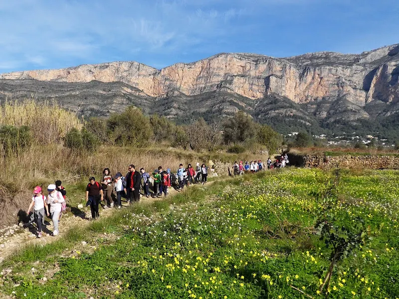 CEIP MEDITERRÀNIA - Colegio público en Jávea - foto 2