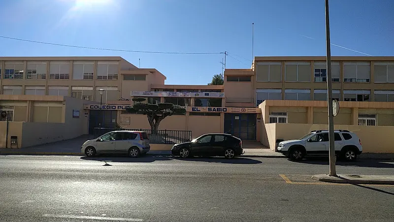 CEIP Alfonso X El Sabio - Colegio público en Novelda - foto 2