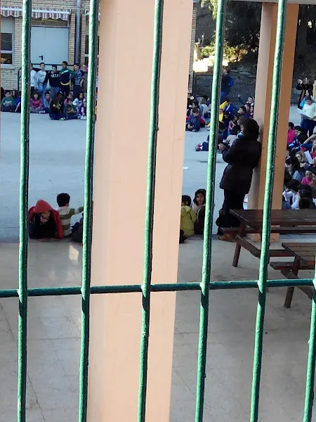 Colegio Público la Foia - Petrer