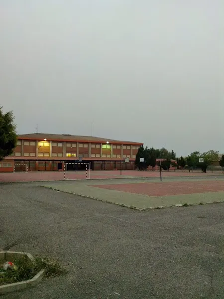 CEIP Maestro Salvador Ruso - Torrevieja