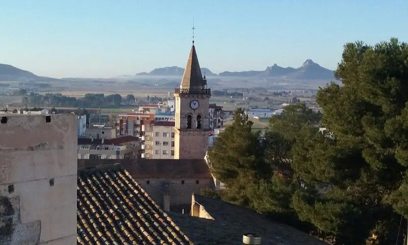 C.E.I.P. Joaquín María López - Colegio público en Villena - foto 2