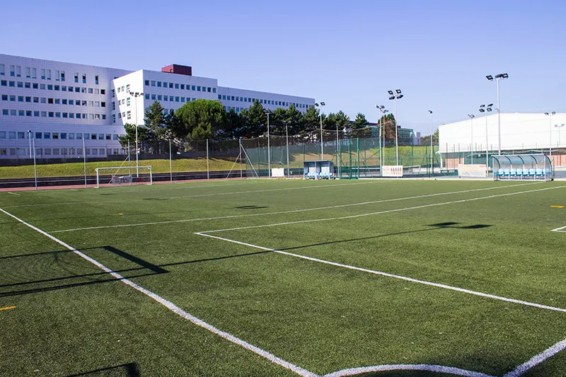 Colegio Internacional San Fernando - Avilés