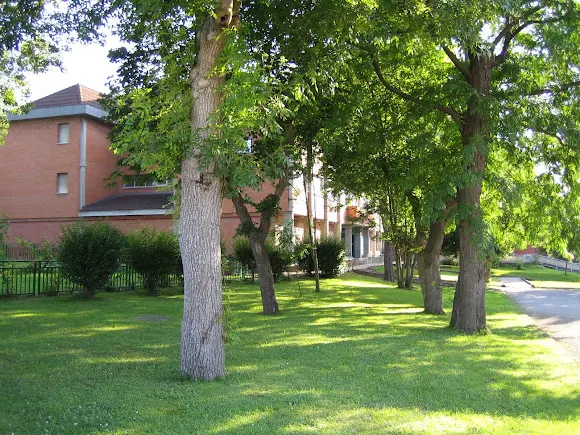 Colegio Nicanor Piñole - Gijón