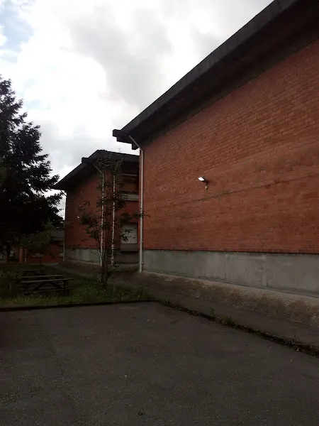 Colegio Público Virgen del Fresno - Colegio público en Grado - foto 2