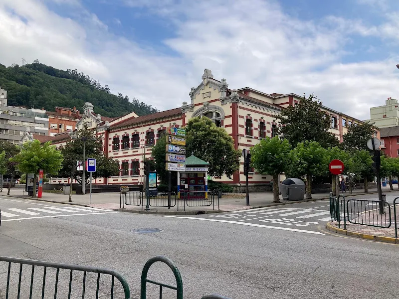 Colegio Público Aniceto Sela - Mieres