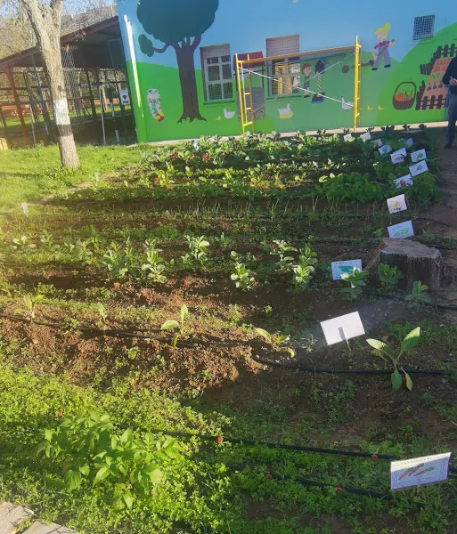 CEIP Manuel Pacheco - Escuela primaria en Badajoz - foto 2