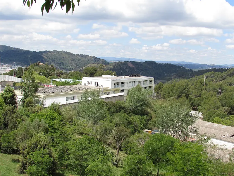 Benviure school - Institución educativa en Castellbisbal - foto 2