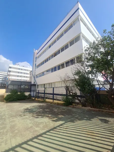 Mireia Centro de Estudios