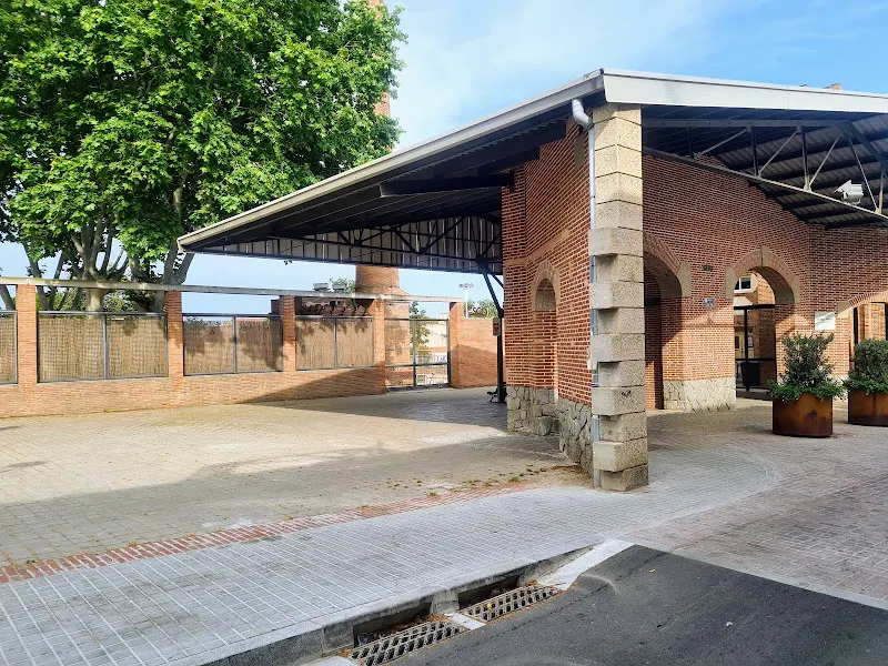 Escuela La Lió - Colegio público en Premiá de Mar - foto 3