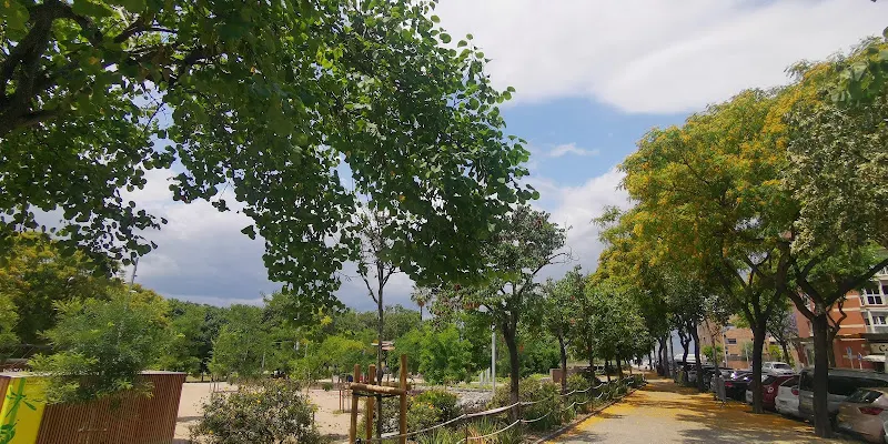 Colegio Falguera - Sant Feliu de Llobregat