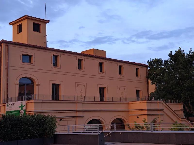 St. Patrick's International School