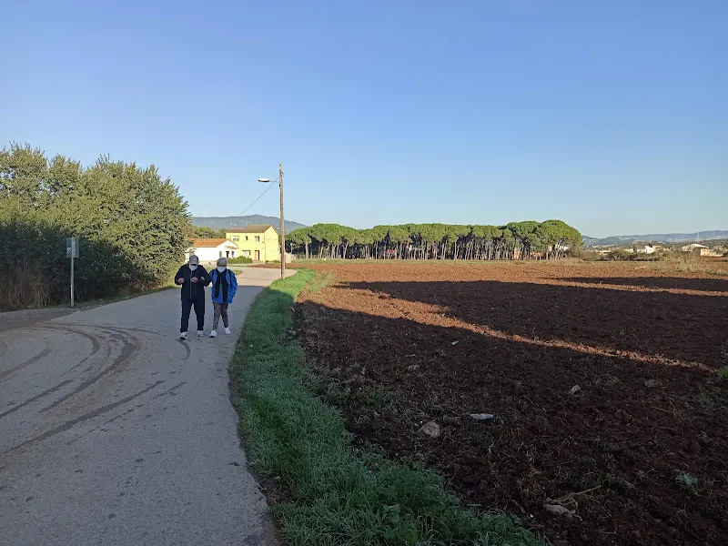 Institut Ramon Casas i Carbó