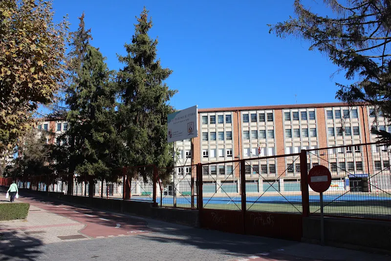 CEIP Francisco de Vitoria - Colegio público en Burgos - foto 3