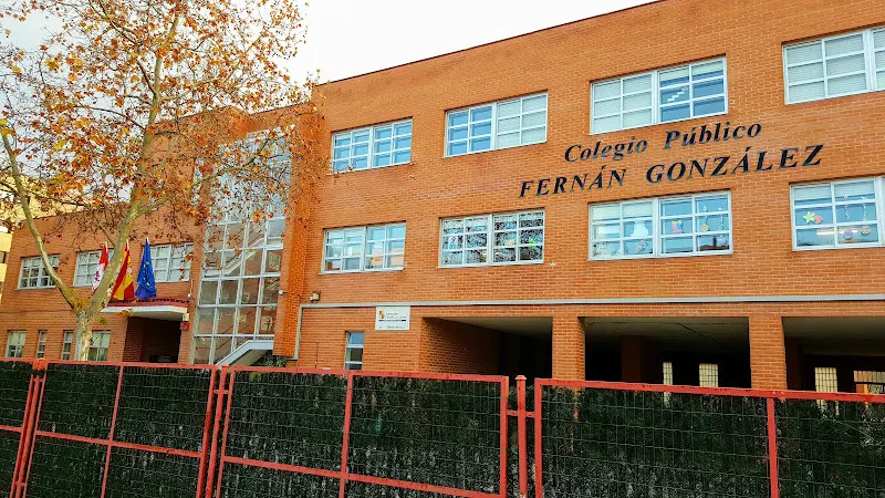 Colegio Público Fernán González - Colegio público en Aranda de Duero - foto 2
