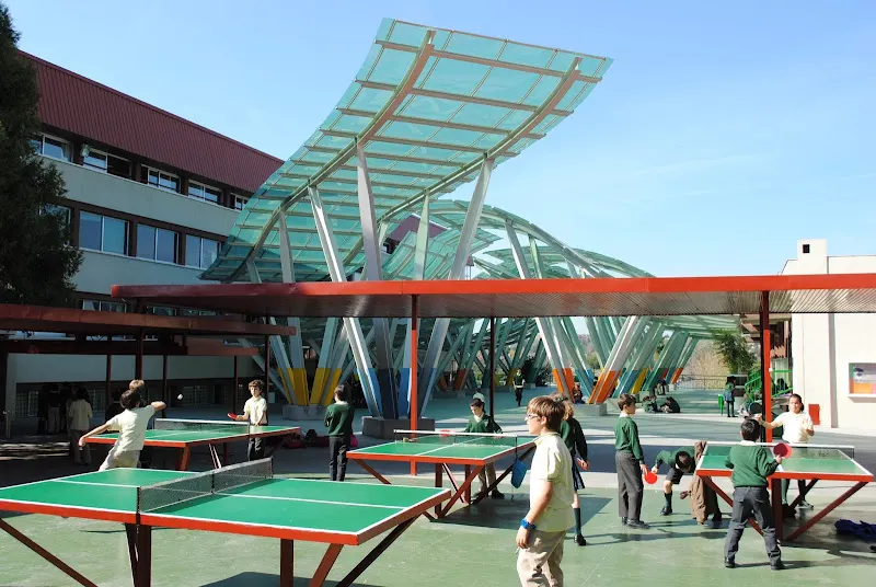 Colegio Los Sauces La Moraleja