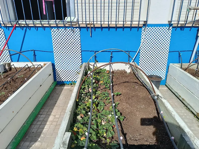 Colegio Público Sagrado Corazón de Jesús - Colegio público en Puerto de Santa Maria (El) - foto 2