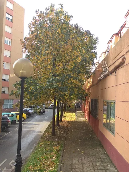 CEIP Pedro Velarde