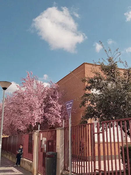 CEIP Benito Pérez Galdós - Miguelturra