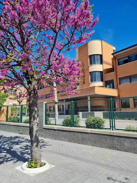 Colegio Cooperativa Lagomar - Centro educativo en Valdemoro - foto 2