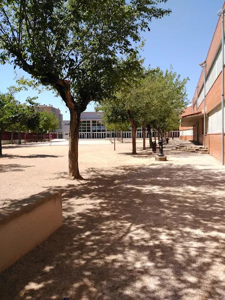 Escuela Montfalgars - Girona