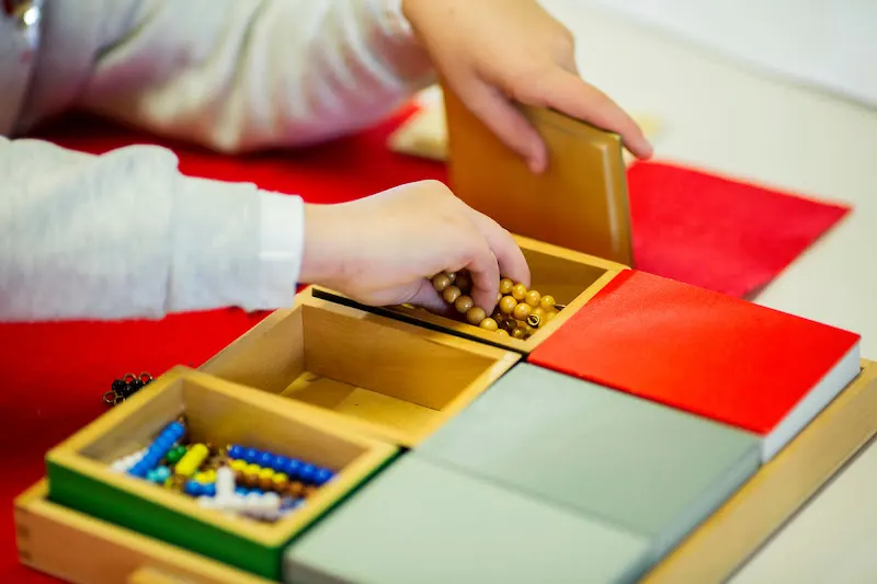 Montessori Palau Figueres - Colegio privado en Figueres - foto 2