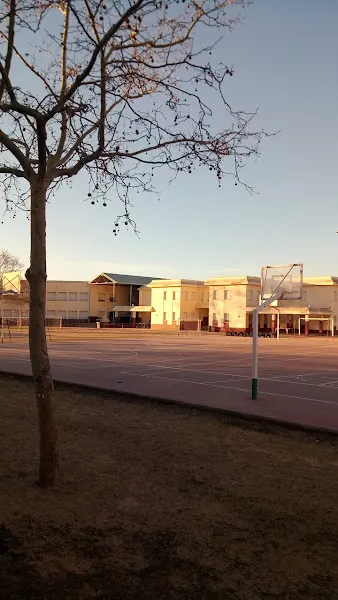 Escuela Jaume Vicens Vives - Colegio público en Roses - foto 2