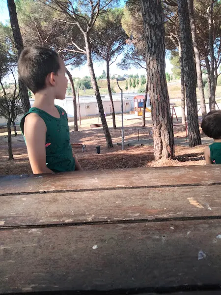Escuela Els Estanys