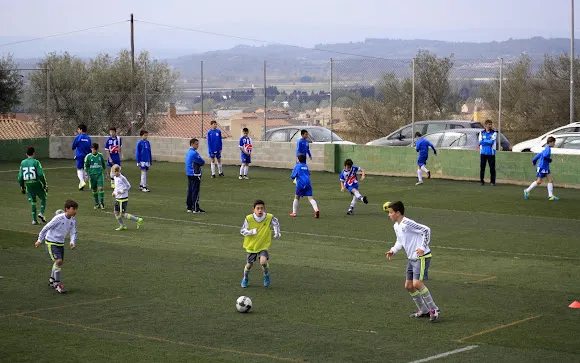 Club Esportiu Escola de Futbol Baix Ter
