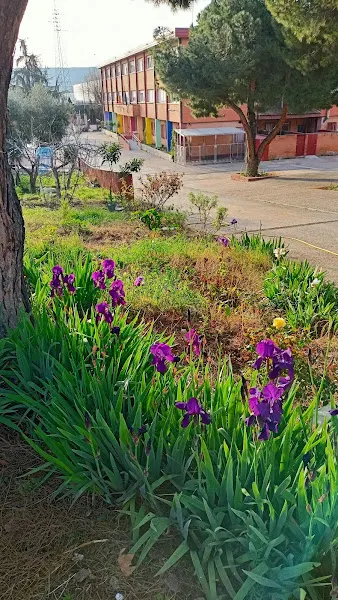 CEIP Virgen de la Soledad