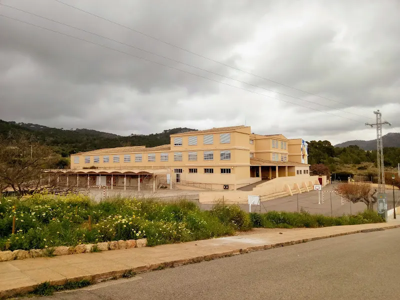 Colegio Público CP Ses Quarterades - Colegio público en Calvià - foto 2