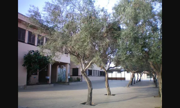 Col·legi Public Puig De Sa Ginesta