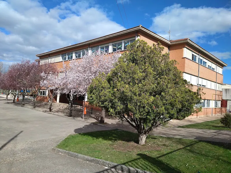 CEIP San Pío X - Colegio público en Logroño - foto 3