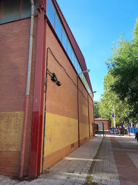 CEIP Alicia de Larrocha - Colegio público en Alcalá de Henares - foto 2