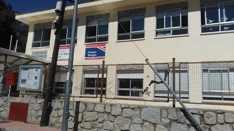 Colegio Público los Negrales - Colegio público en Collado Villalba - foto 3