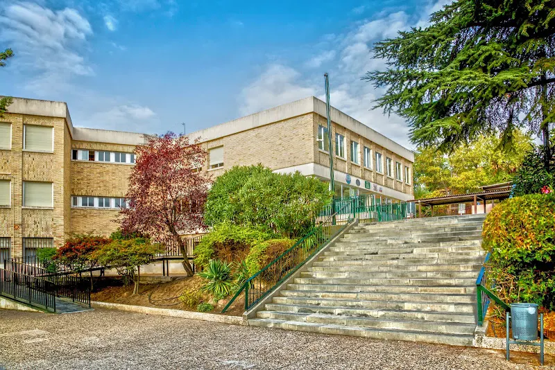 Colegio Irlandesas El Soto
