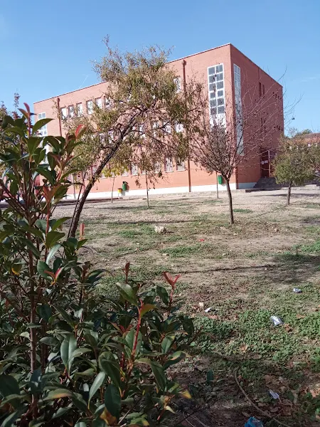 IES Juan Carlos I