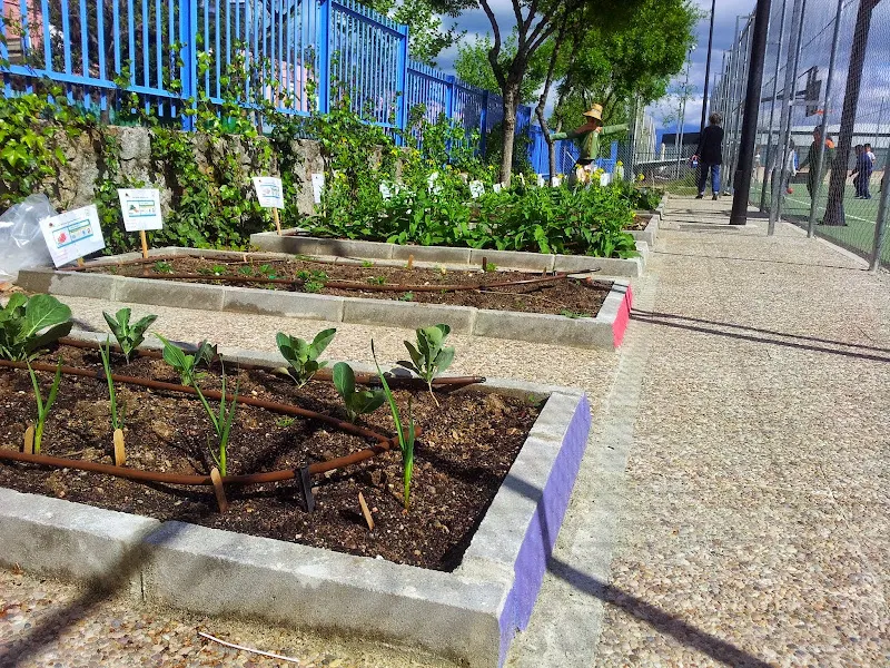 CEIP Jacinto Benavente